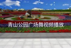 青山公园广场舞视频播放