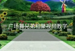 广场舞兄弟相聚视频教学