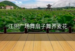 江阴广场舞扇子舞荞麦花