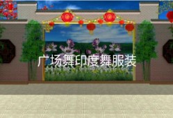 广场舞印度舞服装