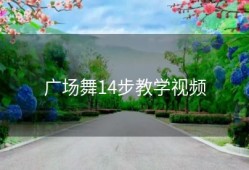广场舞14步教学视频