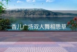 香儿广场双人舞相思草