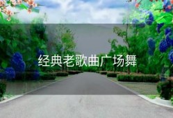 经典老歌曲广场舞