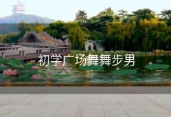 初学广场舞舞步男