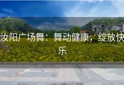 汝阳广场舞：舞动健康，绽放快乐