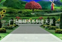 广场舞精选系列走天涯