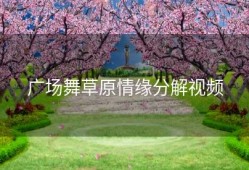 广场舞草原情缘分解视频