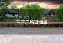 芳芳广场舞简单