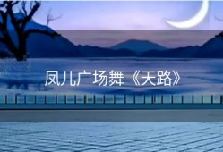 凤儿广场舞《天路》