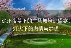 徐州夜幕下的广场舞培训盛宴：灯火下的激情与梦想