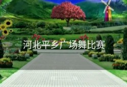河北平乡广场舞比赛