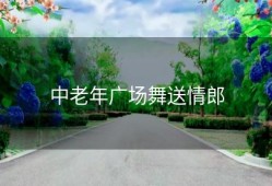 中老年广场舞送情郎
