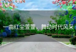 一曲红尘萱萱，舞动时代风采
