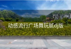 动感流行广场舞玩腻dj版