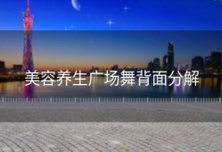 美容养生广场舞背面分解