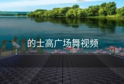 的士高广场舞视频