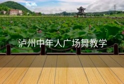 泸州中年人广场舞教学