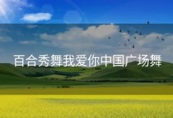 百合秀舞我爱你中国广场舞