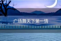 广场舞天下第一情