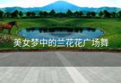 美女梦中的兰花花广场舞