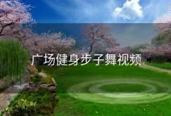 广场健身步子舞视频