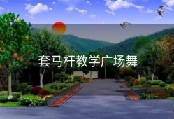 套马杆教学广场舞