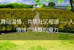 舞动温情，共筑社区和谐——人情味广场舞的魔力
