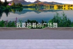 我要抱着你广场舞