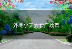 外地小夫妻看广场舞