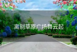 离别草原广场舞云起