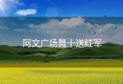 阿文广场舞十送红军
