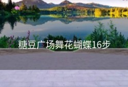 糖豆广场舞花蝴蝶16步