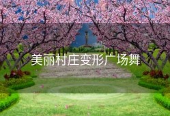 美丽村庄变形广场舞