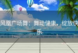 风凰广场舞：舞动健康，绽放快乐