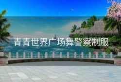 青青世界广场舞警察制服