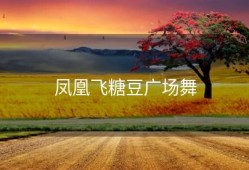 凤凰飞糖豆广场舞