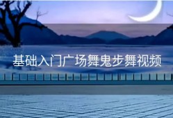 基础入门广场舞鬼步舞视频