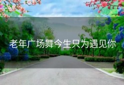 老年广场舞今生只为遇见你