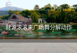 财源滚滚来广场舞分解动作