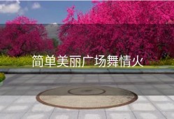 简单美丽广场舞情火