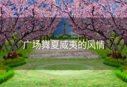 广场舞夏威夷的风情