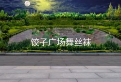 饺子广场舞丝袜