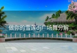 做你的雪莲dj广场舞分解