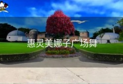 惠灵美娜子广场舞