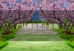 广场舞光芒小瓷瓶