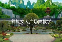 彝族女人广场舞教学