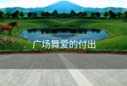 广场舞爱的付出