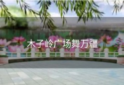 木子岭广场舞万疆