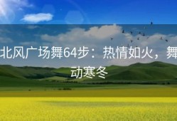 北风广场舞64步：热情如火，舞动寒冬
