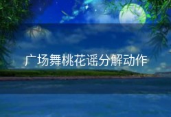 广场舞桃花谣分解动作